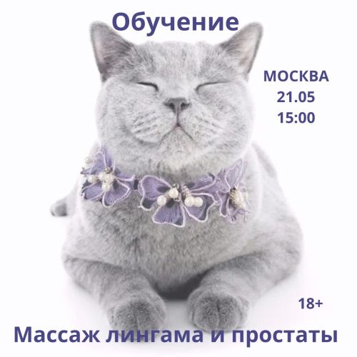 Обучение массажу лингама и массажу простаты в Москве